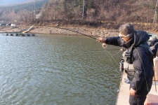 유정낚시터 유료낚시터 > 연일 폭팔적인 조황을 보이고 있는 유정지 : 낚시사랑