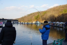 용인지곡낚시공원 유료낚시터 > ◐ 겨울철 붕어 송어 개장 소식 ◐ : 낚시사랑