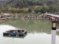 전곡낚시터 > 전곡낚시터 무제한 송어 잡이터 조황소식! : 낚시사랑