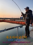 독도바다낚시터 > 2019년 12월 10일 독도 바다 낚시터 루어 & 플라이 조황 (연어 1차 입하) : 낚시사랑