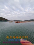 독도바다낚시터 > 2019년 12월 30일 독도 루어 & 플라이 조황 : 낚시사랑