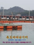 독도바다낚시터 > 2019년 12월 30일 독도 루어 & 플라이 조황 : 낚시사랑