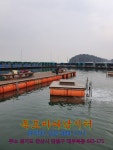 독도바다낚시터 > 2020년 01월 02일독도 플라이 + 루어 조황 : 낚시사랑