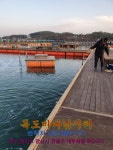 독도바다낚시터 > 2020년 01월 10일 독도 바다 플라이& 루어 조황 : 낚시사랑