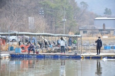 상덕낚시터 > [상덕낚시터] 3월 2주차 이야기 - 용인 상덕 : 낚시사랑