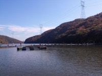 힘찬아빠 김현걸 > [송어낚시]10월 23일 유정낚시터 송어낚시.....미드스트롤링에 폭발적 반응을 하는 송어들 : 낚시사랑