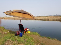 중고낚시용품 > 트라이캠프 50인치 파라솔 : 낚시사랑