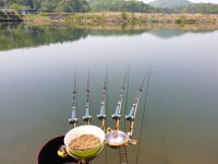 양평 그린낚시터