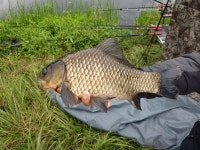 음성 어느 소류지~