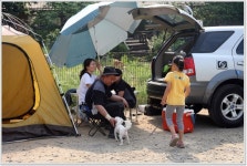 어신 민물낚시 노지조행기 > 수도권 최고의 낚시터 과림지 : 낚시사랑