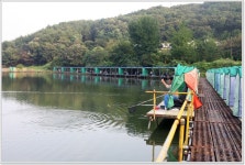 어신 > 계곡지 손맛터 상덕낚시터 : 낚시사랑