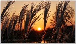 어신 > 평택호 석봉낚시터 : 낚시사랑