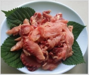 어신 > 충주호 문골낚시터에서 만난 43.5센치의 대물붕어 : 낚시사랑