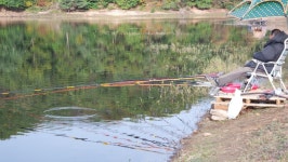 솔바람소리 민물낚시 노지조행기 > 한방터 물고기의 정체는?? : 낚시사랑