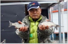 어신 > 연휴 마지막날입니다.아산 수철리지 다녀왔습니다. : 낚시사랑