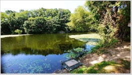 어신 > 그늘이 있고 차대고 바로 앞...초평천 : 낚시사랑