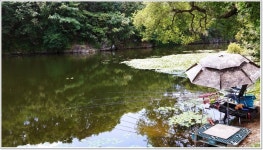 어신 > 그늘이 있고 차대고 바로 앞...초평천 : 낚시사랑
