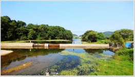 어신 > 그늘이 있고 차대고 바로 앞...초평천 : 낚시사랑