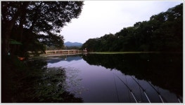 어신 > 그늘이 있고 차대고 바로 앞...초평천 : 낚시사랑