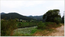 어신 > 그늘이 있고 차대고 바로 앞...초평천 : 낚시사랑