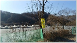 어신 > 송어낚시 개장날 찾아간 파주 직천저수지 : 낚시사랑