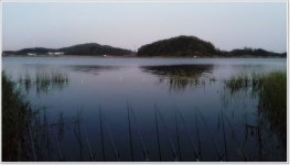 올만에 남양호 들려 보았습니다.