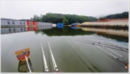 포천 초원 낚시터에서의 대박