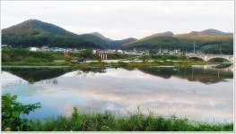 충남 청양 지천에서의 붕어 낚시