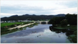 충남 청양 지천에서의 붕어 낚시