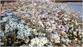 홍성 공리지에서