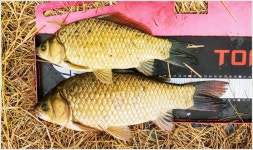 홍성 공리지에서