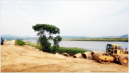 어신 > 떼붕어가 나오는 와룡천 하류 : 낚시사랑