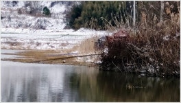 어신 > 남도 2차원정 두번째 출조지인 나주 구호제 : 낚시사랑