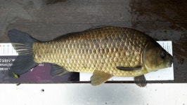 5.30...6.4..양촌3.4차