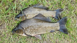 5.30...6.4..양촌3.4차