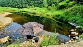 장구라 > 장구라가 간다. : 낚시사랑