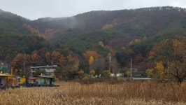 2015년 납회3.(의암댐-광명)