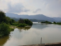 파로호 용호리 근황...