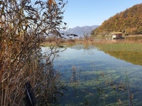 이번에는 예당저수지 도독골 쪽 상류지역을 더듬어 보았습니다..