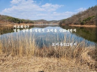 영천 삼귀못 주소는