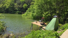 매곡지! 붕어 없다~~