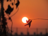 비즈킷 > 굴포천 짬낚시 : 낚시사랑