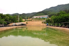 향수사계절낚시터 유료낚시터 > 향수 사계절낚시터 6월 11일 개장합니다. : 낚시사랑