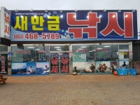군산새만금낚시 바다낚시조황 > 8월 23일 군산문어선상낚시 조황 - 까치리호- : 낚시사랑