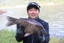 쩐프로(붕어놀이터) > 태안읍 반곡길 (부남호) 마감 : 낚시사랑