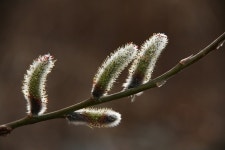 엘리어트 > 매전저수지(충북 괴산)를 찾아서 초봄 낚시여행.. : 낚시사랑