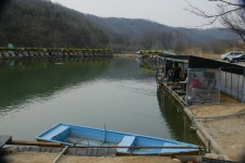 엘리어트 > 길명 낚시터의 봄 : 낚시사랑