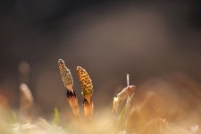 엘리어트 > 청평호 송산리/미사리-편) 초봄 낚시여행 : 낚시사랑