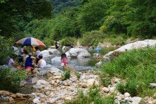 엘리어트 > 여름 낚시여행 (휴가와 낚시 사이에 ^^) 충청북도 괴산 - 편 : 낚시사랑