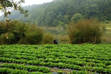 엘리어트 > 매전 저수지로 가을 낚시여행 : 낚시사랑